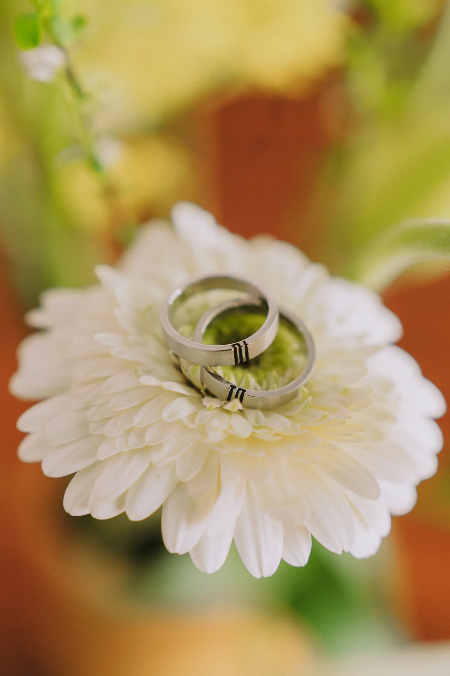 Thư & Đức, Wedding Day in Bến Tre — Pham Si Luan Photography (38)